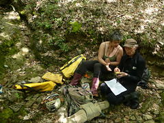 20230606 -08 Lozère tritons (20)