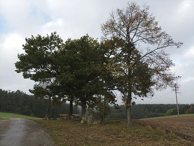 Fränkischer Jakobsweg: Creußen - Pegnitz