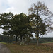 Fränkischer Jakobsweg: Creußen - Pegnitz