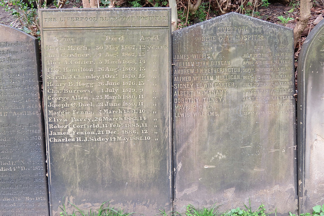 st james cemetery, liverpool