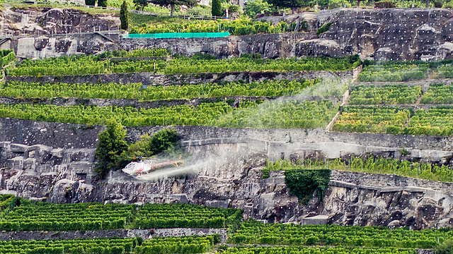 170703 Lavaux helico 1