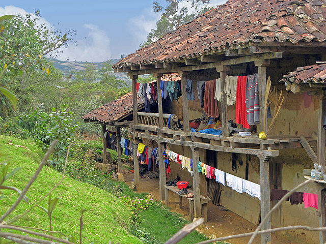 Two story typical house