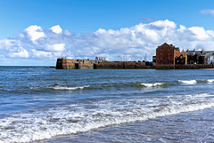 West Bay, North Berwick