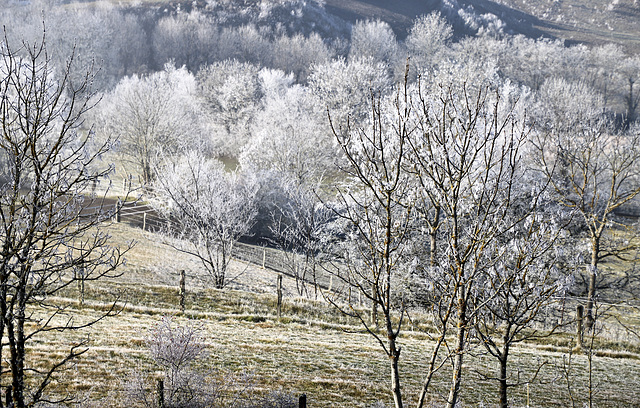 Saint Flour, Auvergne, France.