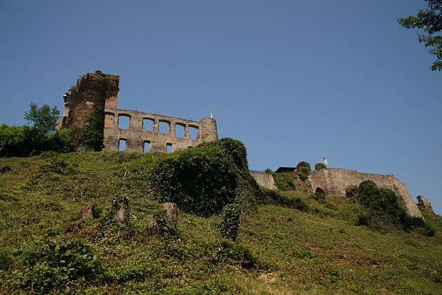 Looking Up To Burg Metternich