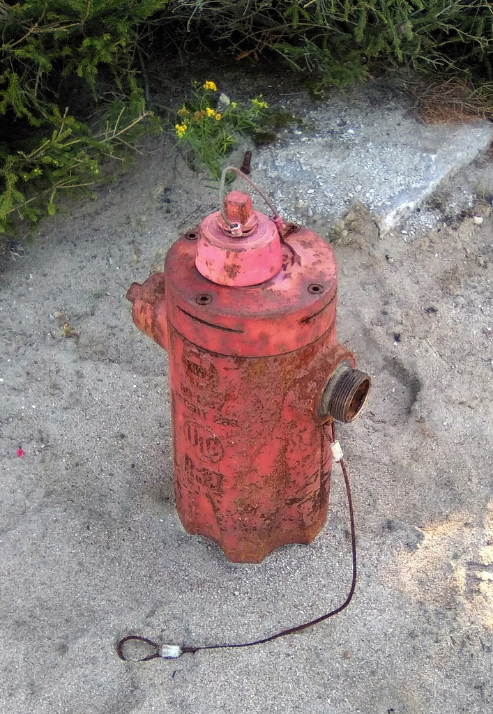 Borne fontaine avec laisse / Hydrant with a leash