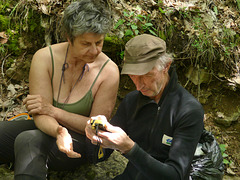 20230606 -08 Lozère tritons (21)