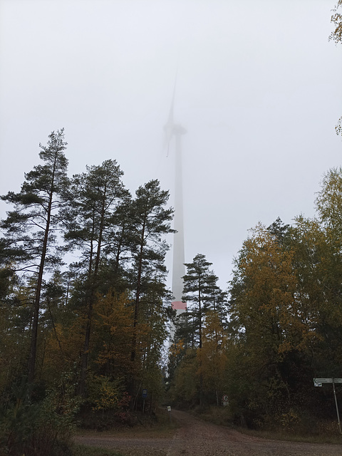 Fränkischer Jakobsweg: Creußen - Pegnitz