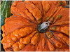 autumn is coming