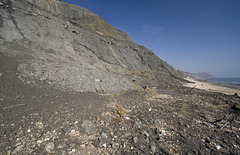 Black Ven landslides