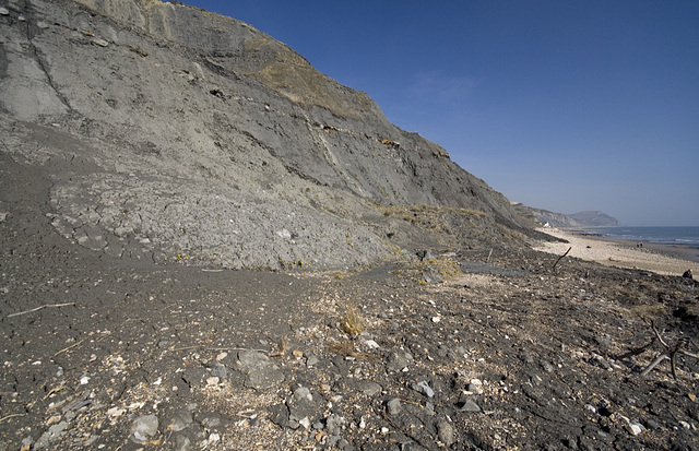 Black Ven landslides