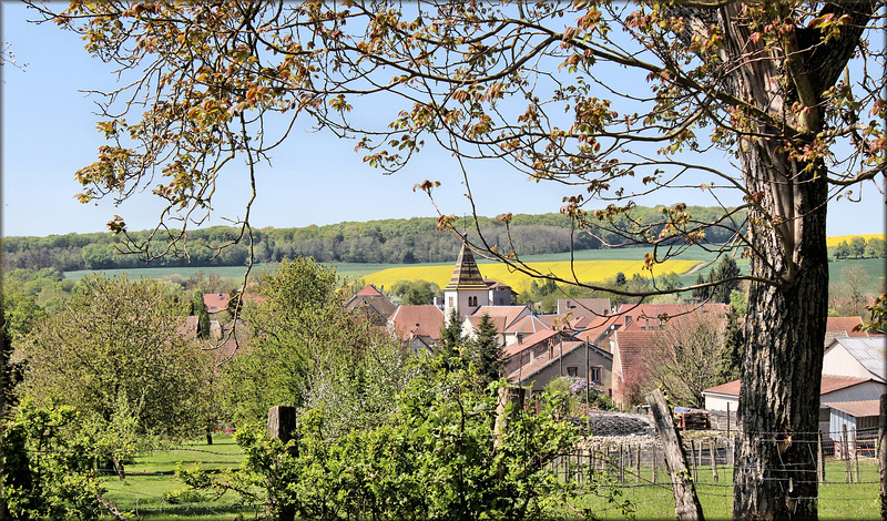 Sornay (70) 16 avril 2014.