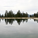 Spiegelung im Alpsee