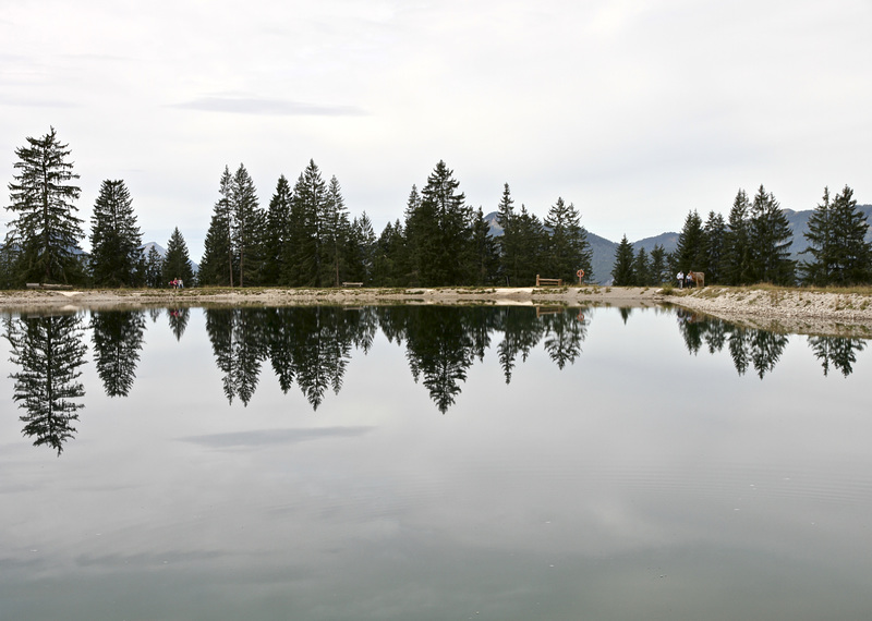 Spiegelung im Alpsee