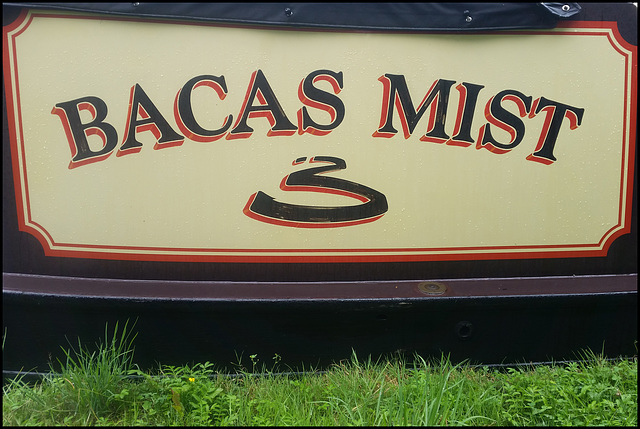 Bacas Mist