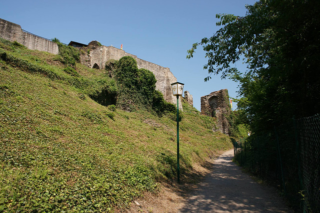 Burg Metternich