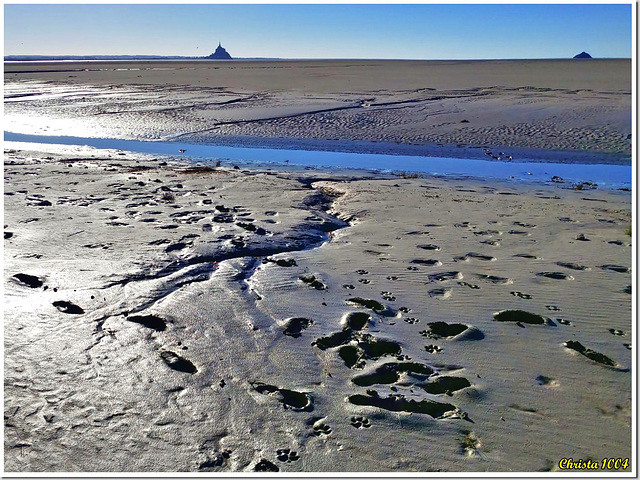 Traces dans la boue