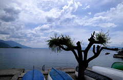 Lake Ohrid