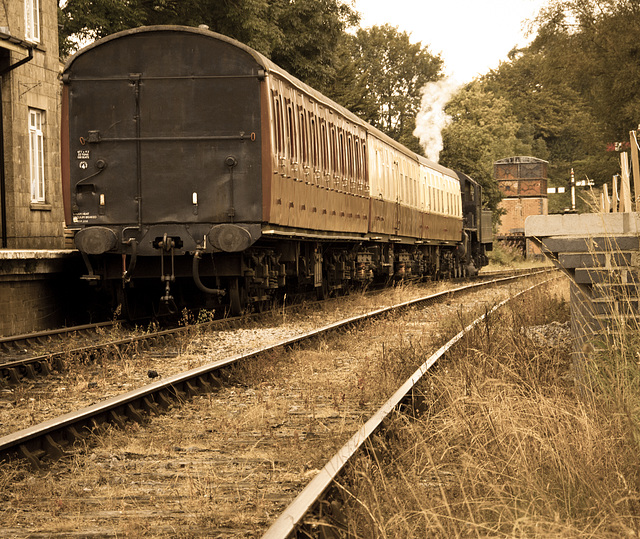 Chocolate Brown and Cream Train