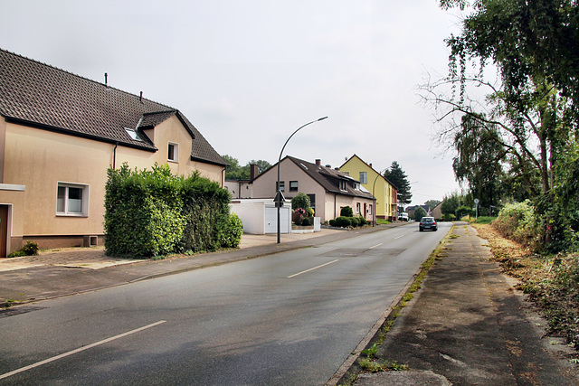 Bochumer Straße (Castrop-Rauxel) / 3.08.2024