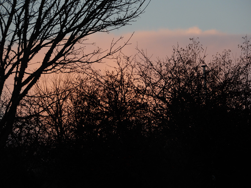 un lundi lumineux,,