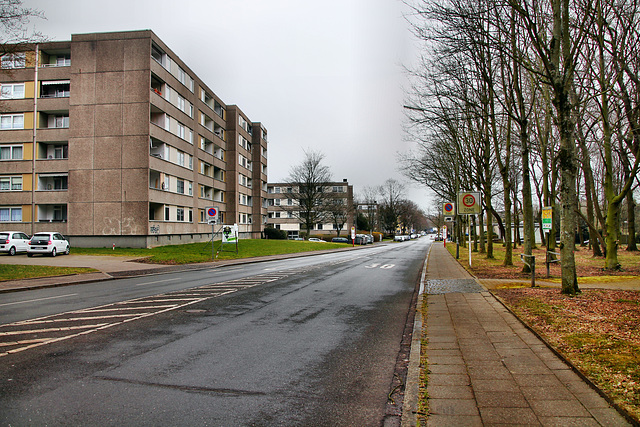 Buschei (Dortmund-Scharnhorst) / 27.03.2018