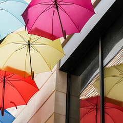 ceux-ci ne sont pas parapluies de Cherbourg