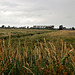 Bike Netherlands/The green heart of the Netherlands