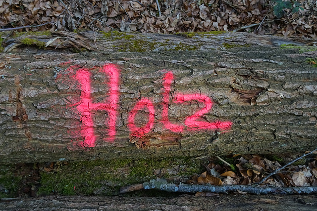 Bildschirmschoner "Holz"