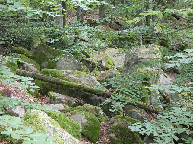 an der Steinklamm