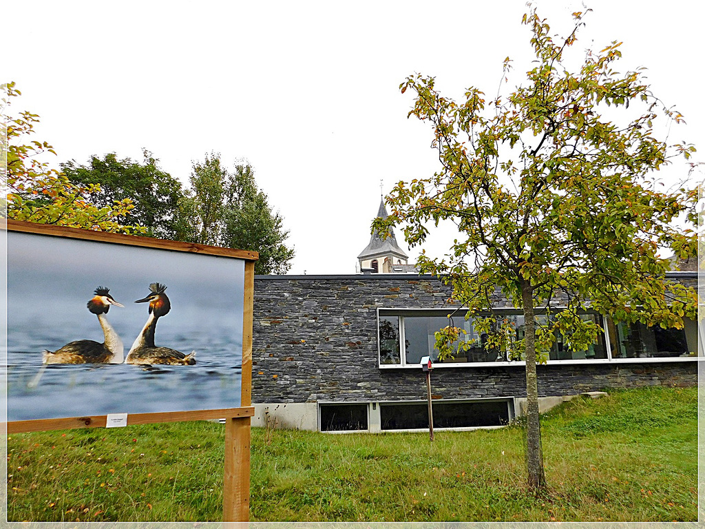 Exposition photo à plouer sur rance (22) près de la Médiathèque.