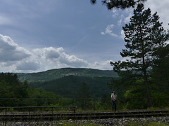 20230606 -08 Lozère tritons (24)