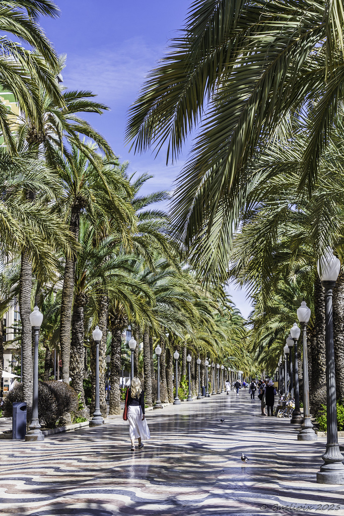 Passeig Esplanada d'Espanya (© Buelipix)