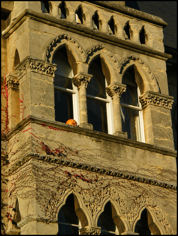 college pumpkin