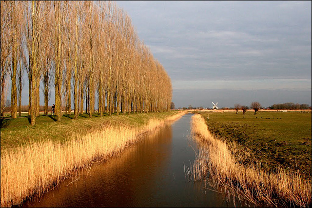 Noorddijk