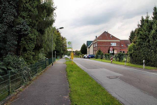 Vossundern (Bottrop-Grafenwald) / 14.08.2017