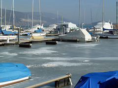 Eiseskälte am Bielersee in Erlach