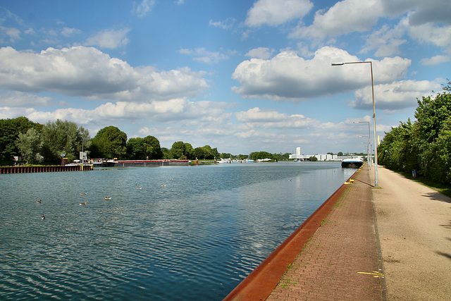 Weg am Rhein-Herne-Kanal (Herne) / 25.05.2019