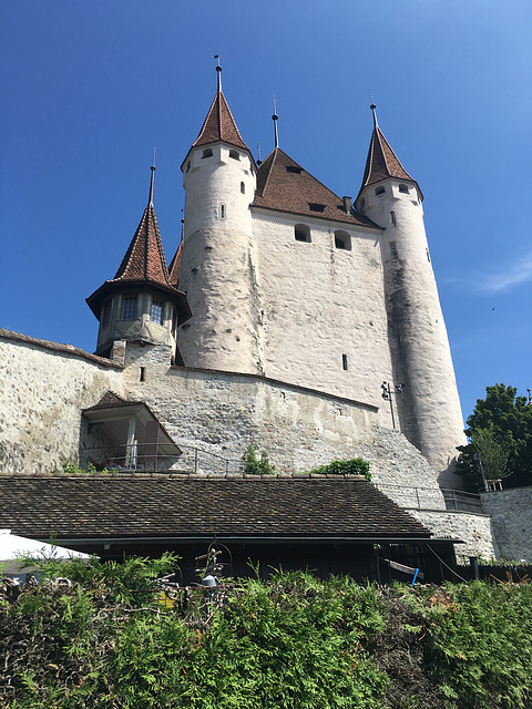 Schloss Thun.