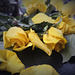 Bouquet jaune