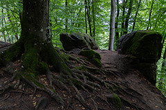 Irrel - Teufelsschlucht