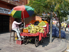 Jaipur- An Abundance of Fruit