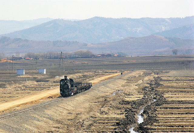 Narrow gauge across the plain