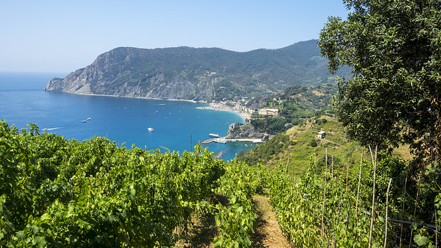 Monterosso al Mare, Cinque Terre, Italy Monterosso al Mare, Cinque Terre, Italy