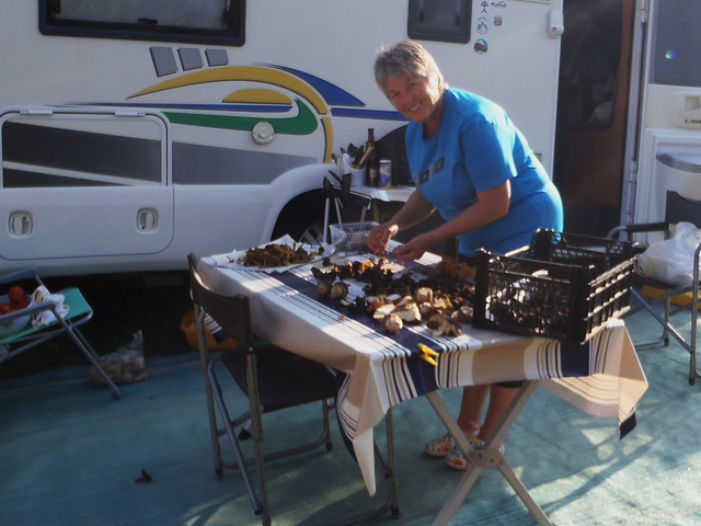 10-2014 Champignons du Canigou