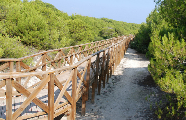 Mallorca-Dünen