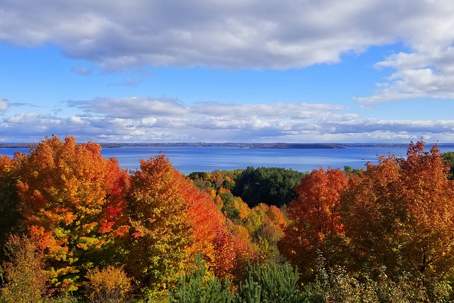 Autumn Color