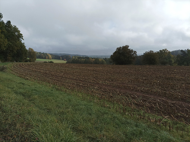 Fränkischer Jakobsweg: Creußen - Pegnitz