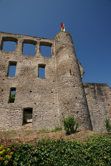 Burg Metternich