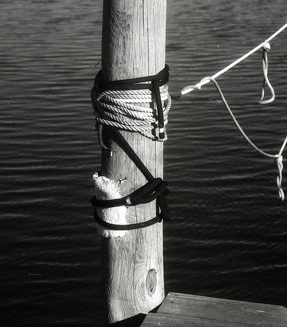 Dock Lines